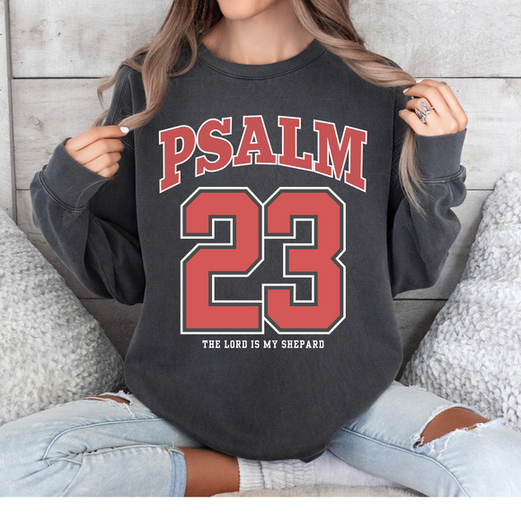 Psalm 23 The Lord is my Shepard Comfort Colors Tshirt (Copy)